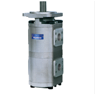 CBG2 雙聯齒輪(lun)油泵.png